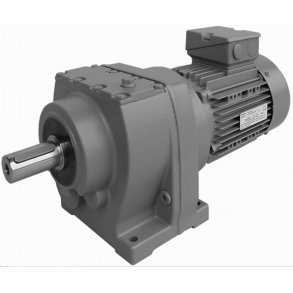 Flex Gearmotor