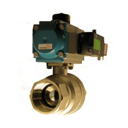 Rub 2&rdquo; kugleventil